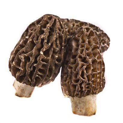 Fresh Frozen Morel Mushrooms - Image 2