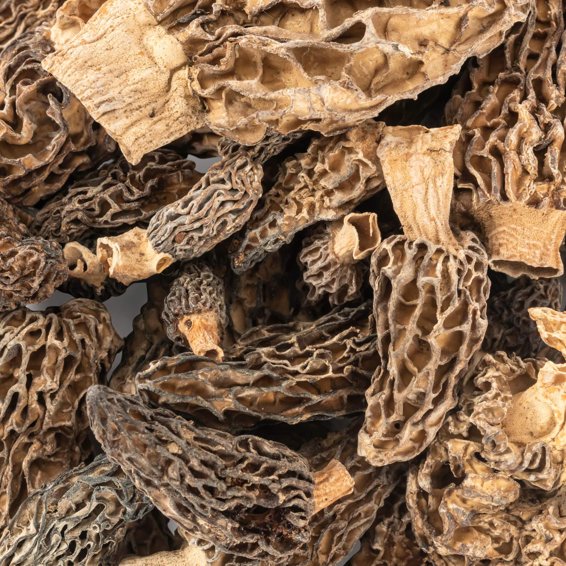 Dried Morel Mushrooms Wild Morchellas - Image 4