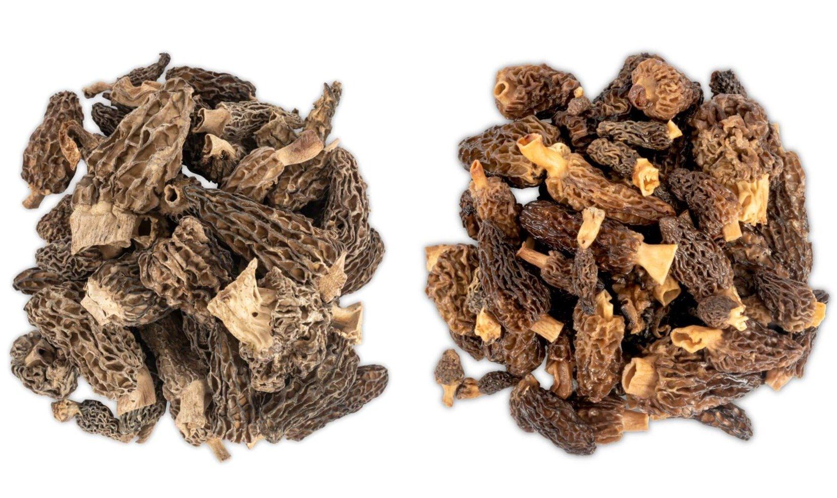 Dried Morel Mushrooms Wild Morchellas - Image 3