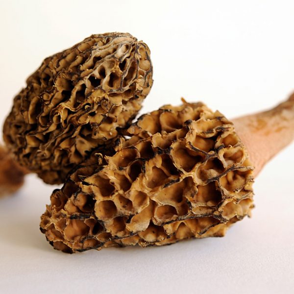 Fresh Frozen Morel Mushrooms - Image 3