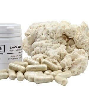 Lions Mane Supplement Capsules (500mg