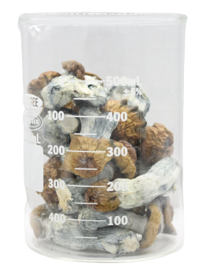 Bluetonium Magic Mushrooms
