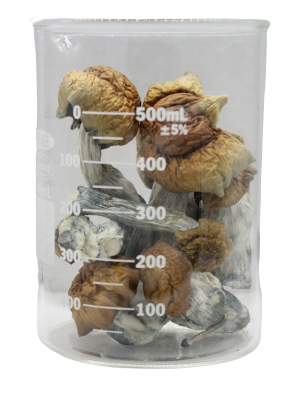 Blue Pulaski Magic Mushrooms