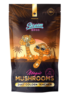 24kt Golden Teacher mushrooms