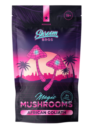 African Goliath Magic Mushrooms