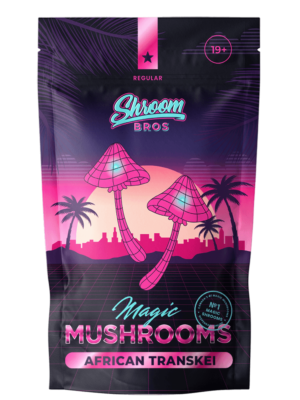 African Transkei Magic Mushrooms