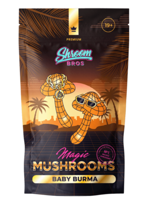 Baby Burma magic mushrooms