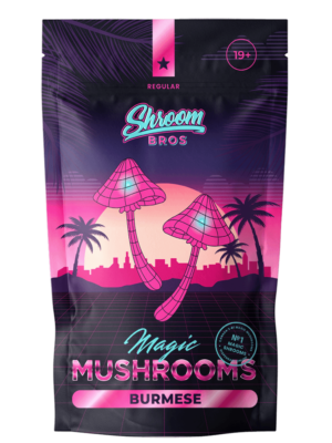 Burmese magic mushrooms