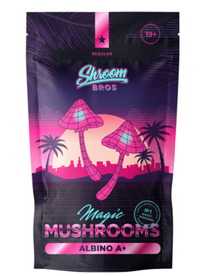 Albino A+ Magic Mushrooms