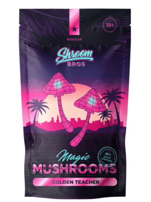 Buy Golden Teacher Shrooms