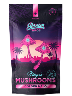 Golden Halo magic mushrooms