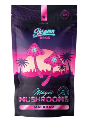 Malabar Shrooms