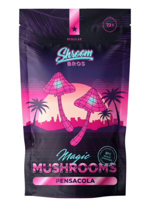 Pensacola magic mushrooms