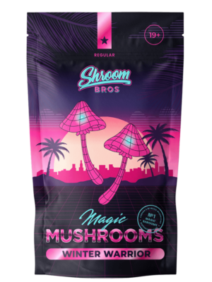 Winter Warrior magic mushrooms